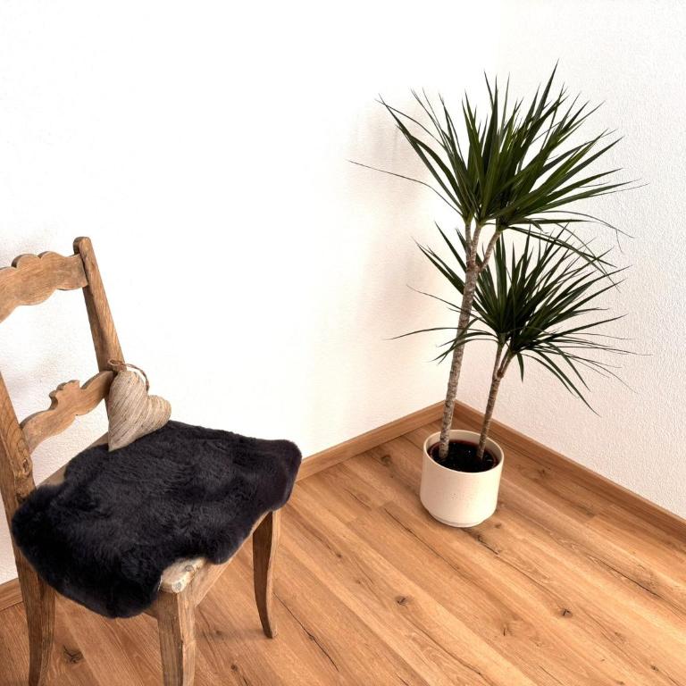 Irmas Ferienhäusl - Ferienhaus - 31
