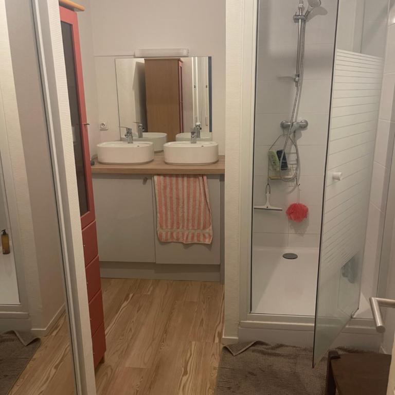 Chambre privé dans colocation - Appartement 1 Chambre - 6
