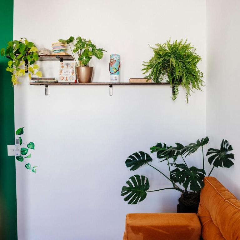 Biologists Home - Apartamento de 2 dormitorios - 26