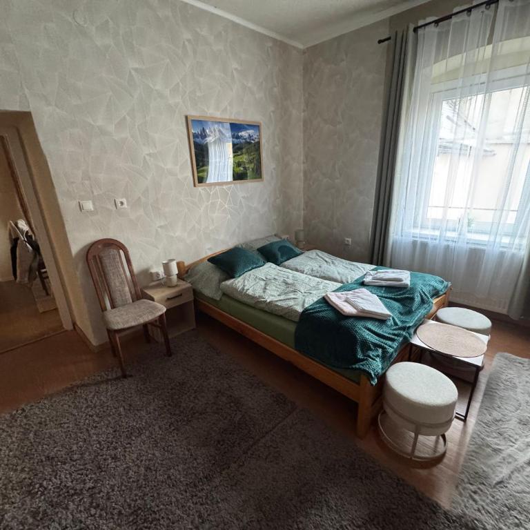 Park apartman Kertes ház Murau központjában gyönyörű kilátással Dog friendly garden house with a wonderful view in Murau centre - Appartement 3 Chambres - 9
