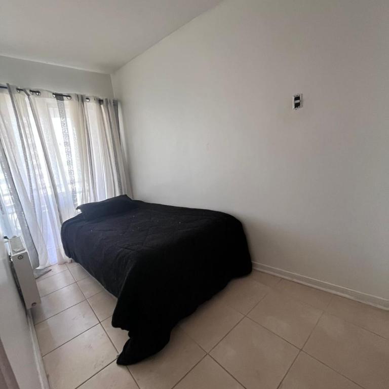 Preciosa vista Viña - San Martin 10 Norte - Two-Bedroom Apartment - 10