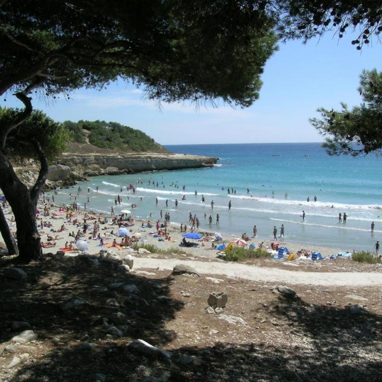 Hébergement sur l île de Martigues, la Venise provençale - Appartement - 13