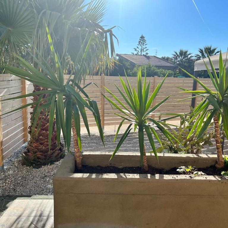 Villa Stromboli - Le Ville del Mediterraneo - Villa mit 1 Schlafzimmer - 11
