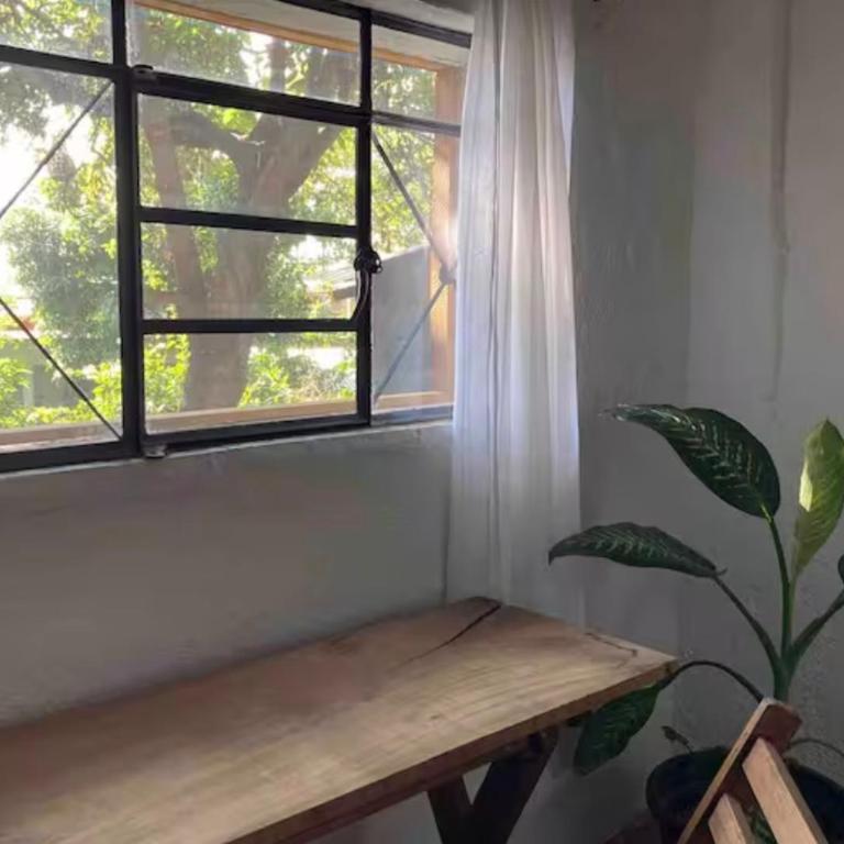 Luminoso exuberante y hermoso refugio - Apartamento de 1 dormitorio - 1