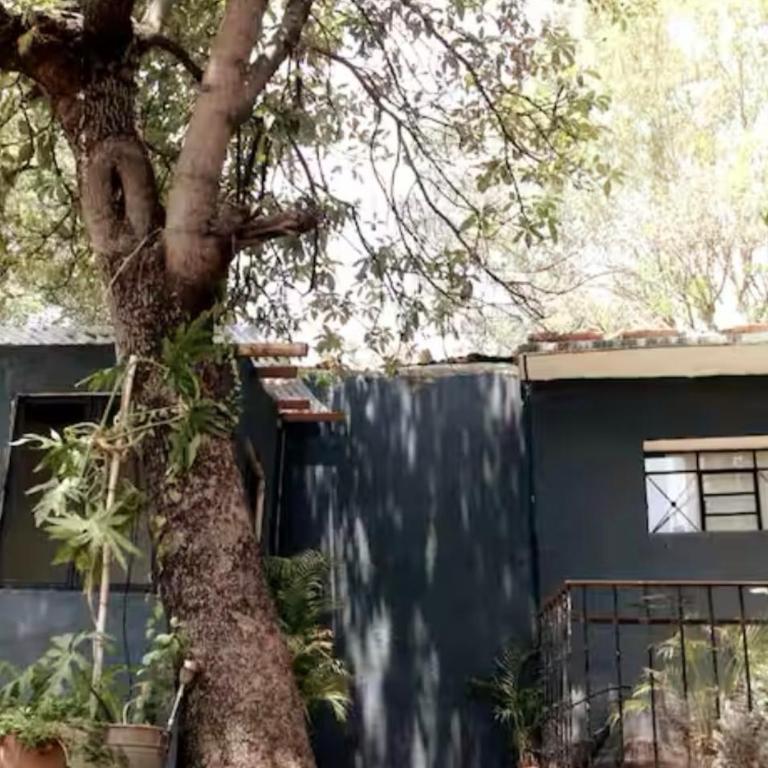 Luminoso exuberante y hermoso refugio - Apartamento de 1 dormitorio - 44