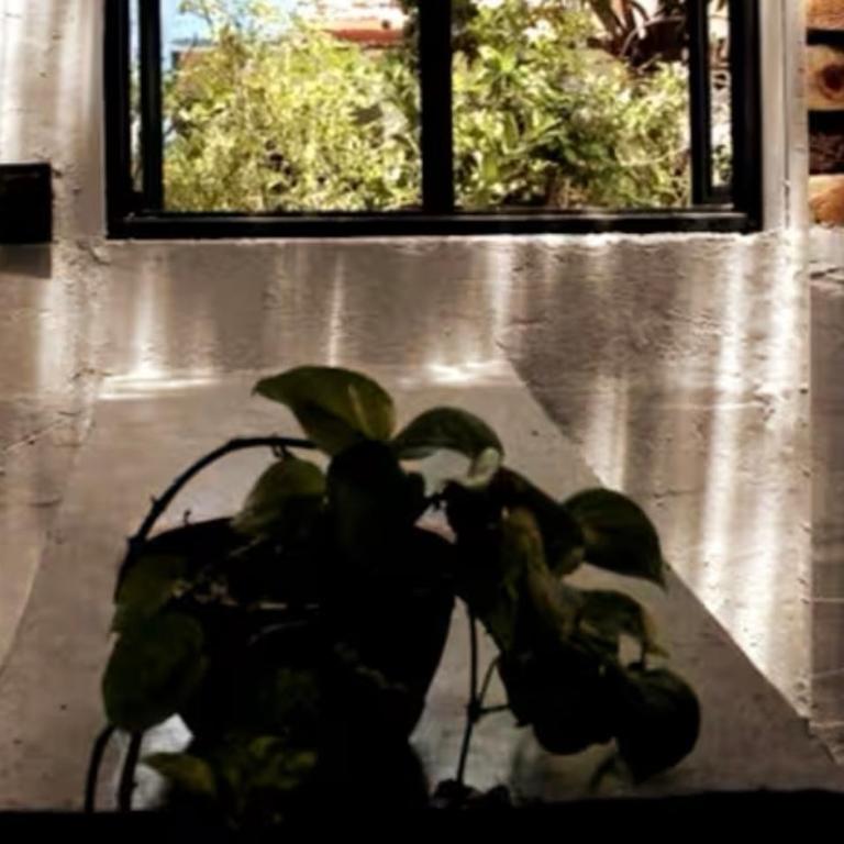 Luminoso exuberante y hermoso refugio - Apartamento de 1 dormitorio - 45