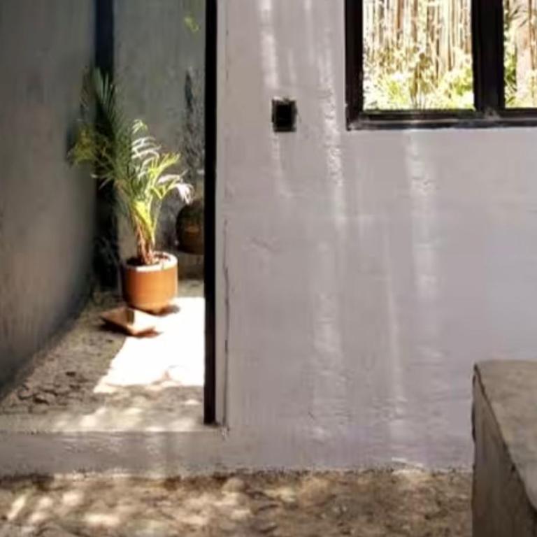 Luminoso exuberante y hermoso refugio - Apartamento de 1 dormitorio - 47