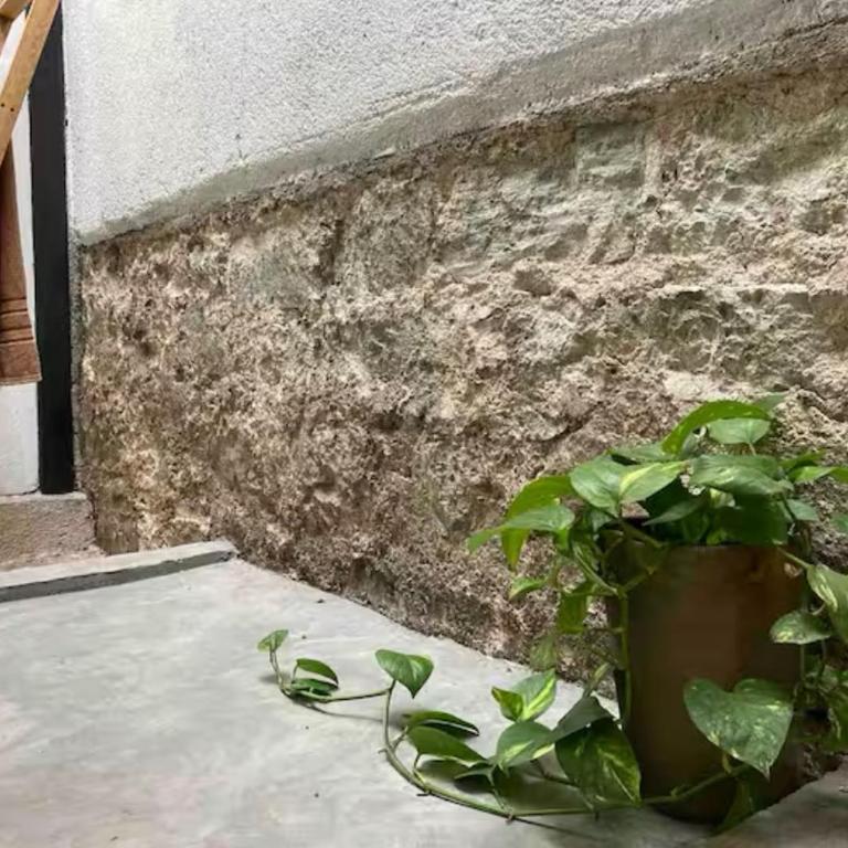 Luminoso exuberante y hermoso refugio - Apartamento de 1 dormitorio - 51