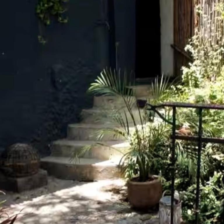Luminoso exuberante y hermoso refugio - Apartamento de 1 dormitorio - 60