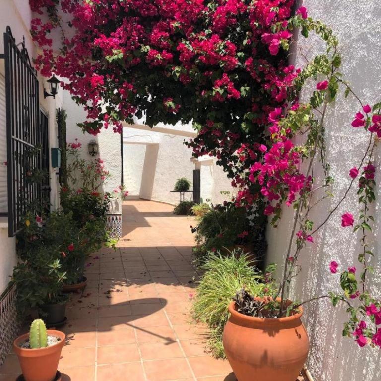 Garden Apartment, La Noria - Two-Bedroom Apartment - 23