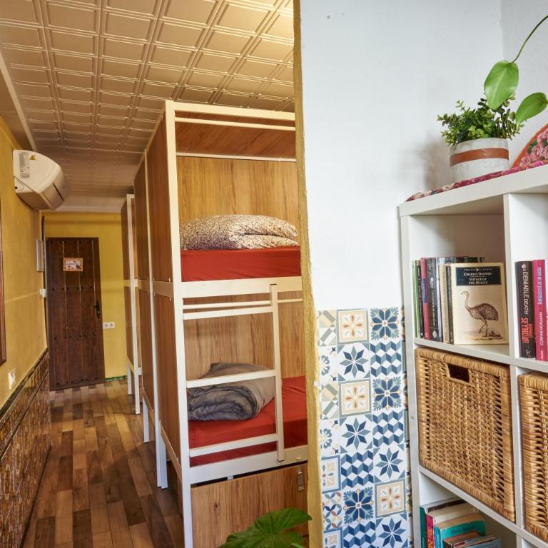 Oripando Hostel - Bed in 6-Bed Female Dormitory Room - 4