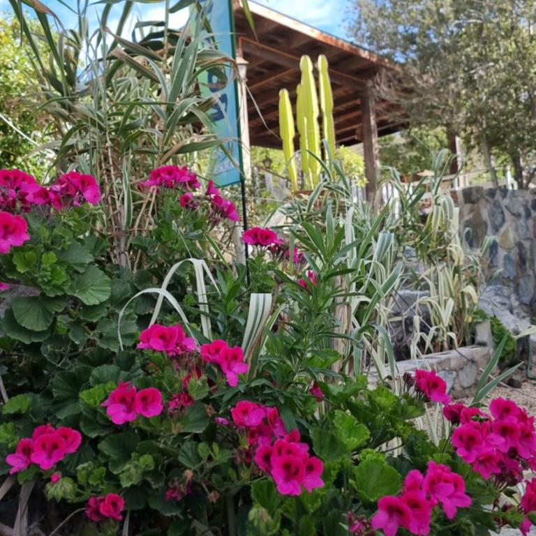 Pedal Paradise Tongoy - Casa de 2 dormitorios - 8