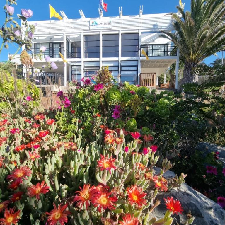 Pedal Paradise Tongoy - Casa de 2 dormitorios - 9