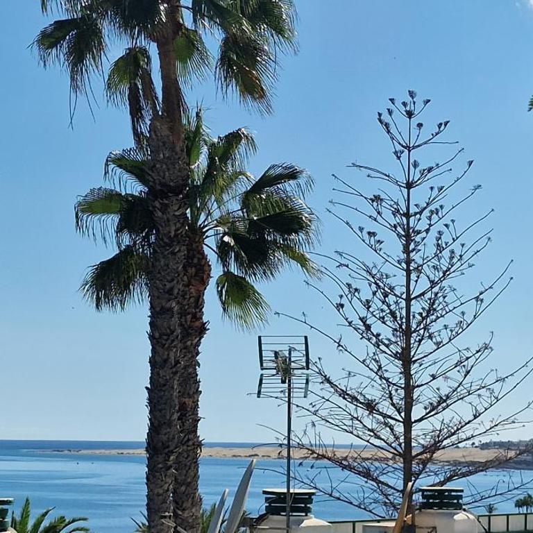 Ocean views cute apartment San Agustin, Gran Canaria - Apartamento de 1 dormitorio - 5