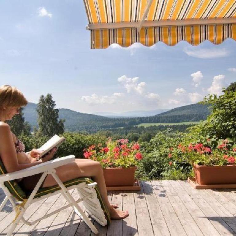 Ferienwohnung Panoramablick 2 Südhanglage -Activ Card - One-Bedroom Apartment with View - 17