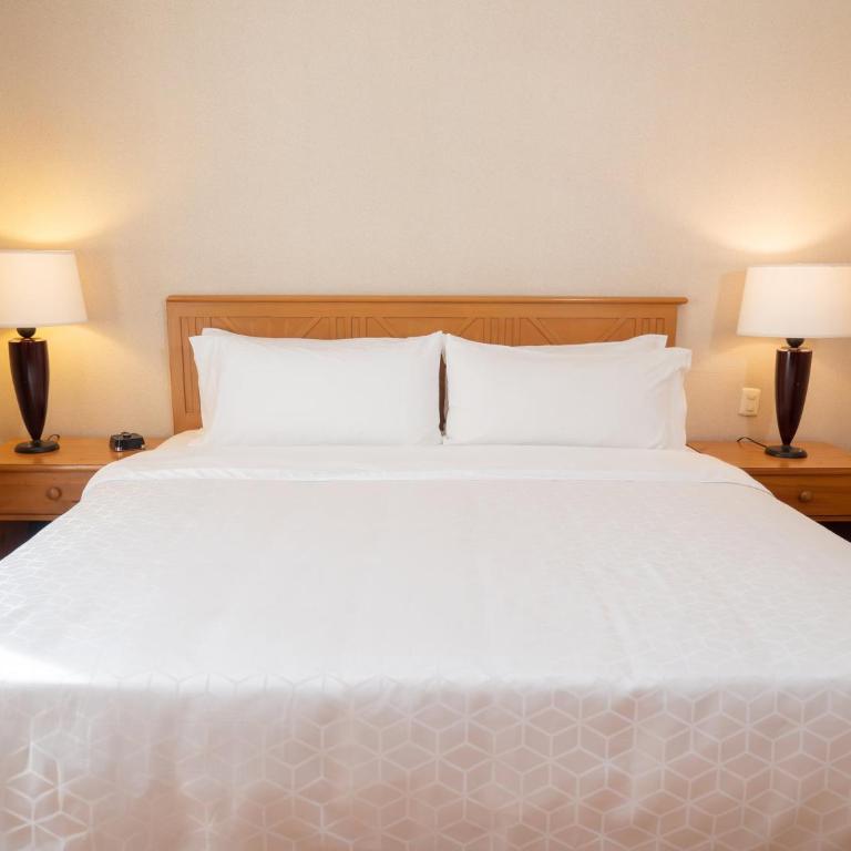 Holiday Inn Express Guanajuato by IHG - Habitación Executive con cama extragrande - No fumadores - 8