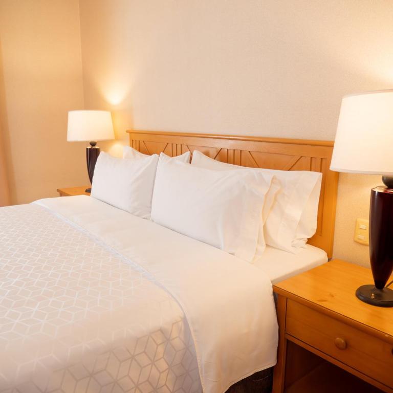 Holiday Inn Express Guanajuato by IHG - Suite con cama extragrande - 7