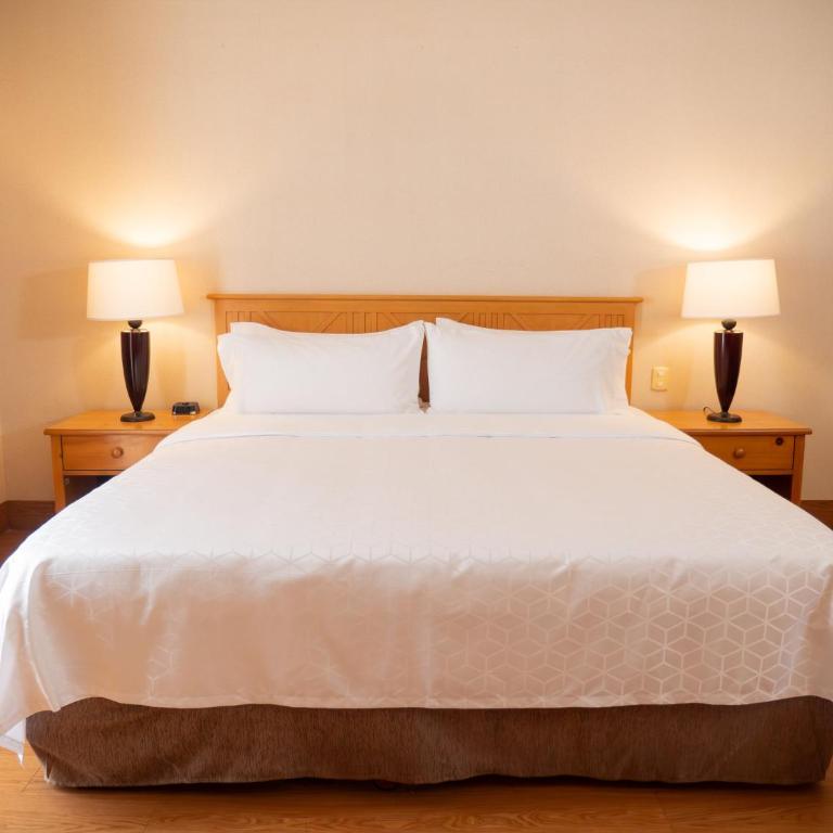Holiday Inn Express Guanajuato by IHG - Suite con cama extragrande - 10