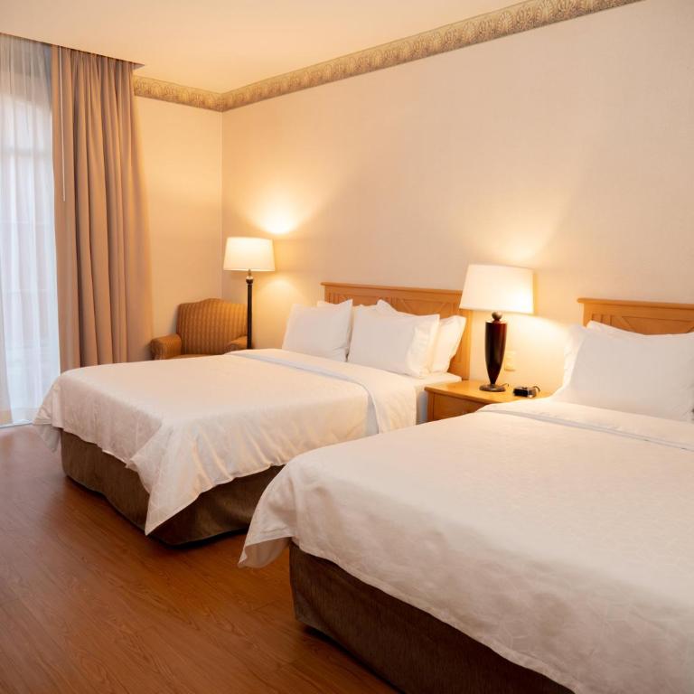 Holiday Inn Express Guanajuato by IHG - Habitación Estándar - 2 camas grandes - 5