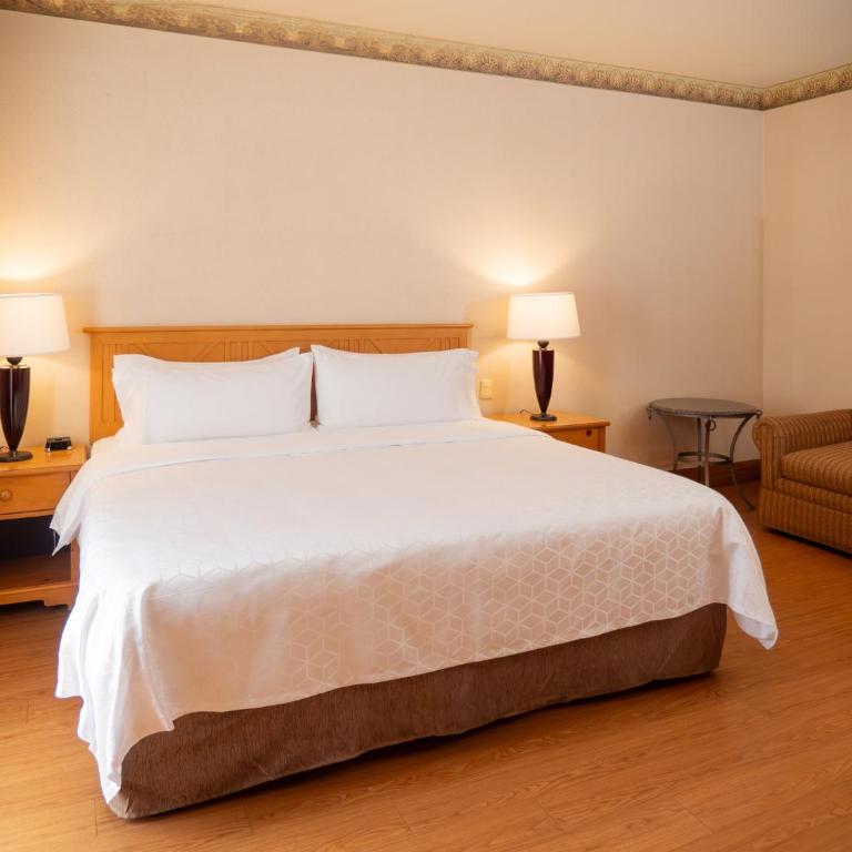 Holiday Inn Express Guanajuato by IHG - Suite con cama extragrande - 8