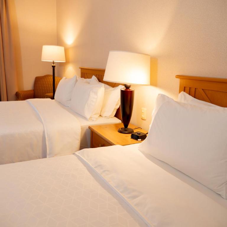 Holiday Inn Express Guanajuato by IHG - Habitación Estándar - 2 camas grandes - 6