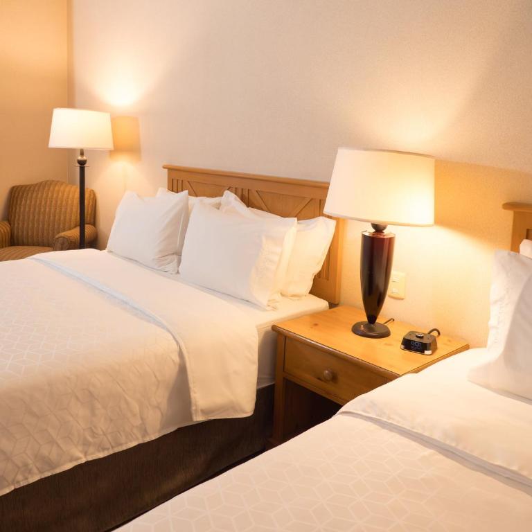 Holiday Inn Express Guanajuato by IHG - Habitación Estándar - 2 camas grandes - 7