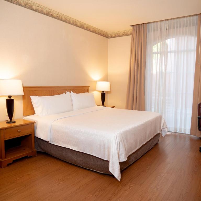 Holiday Inn Express Guanajuato by IHG - Habitación Estándar con cama extragrande - Adaptada para personas de movilidad reducida - 7