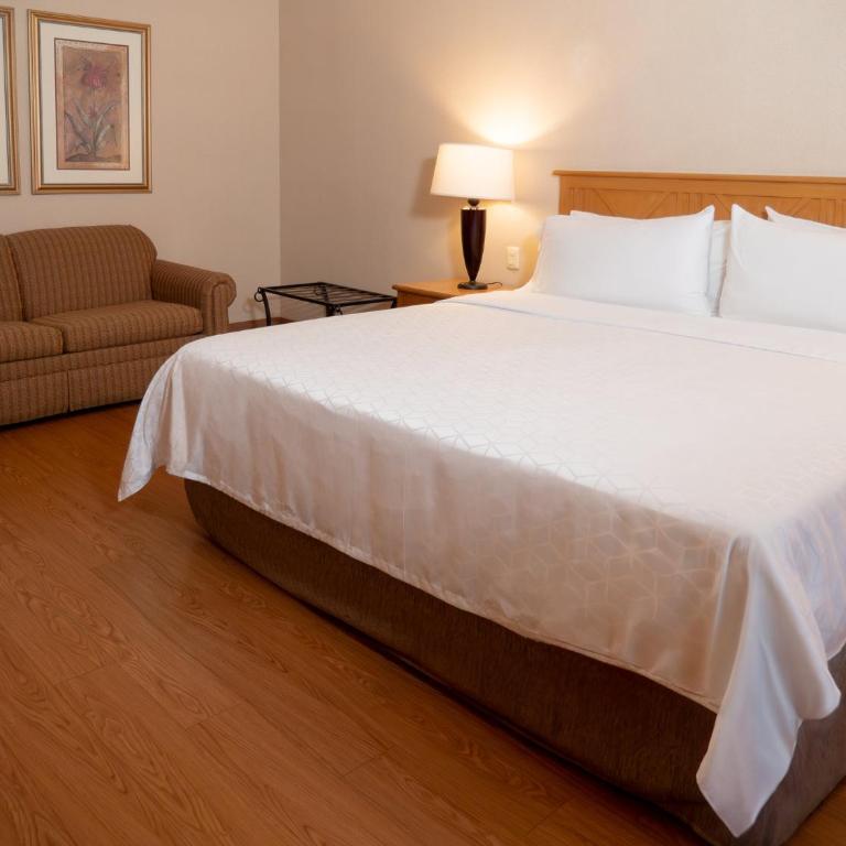 Holiday Inn Express Guanajuato by IHG - Habitación Estándar - Cama extragrande - 6