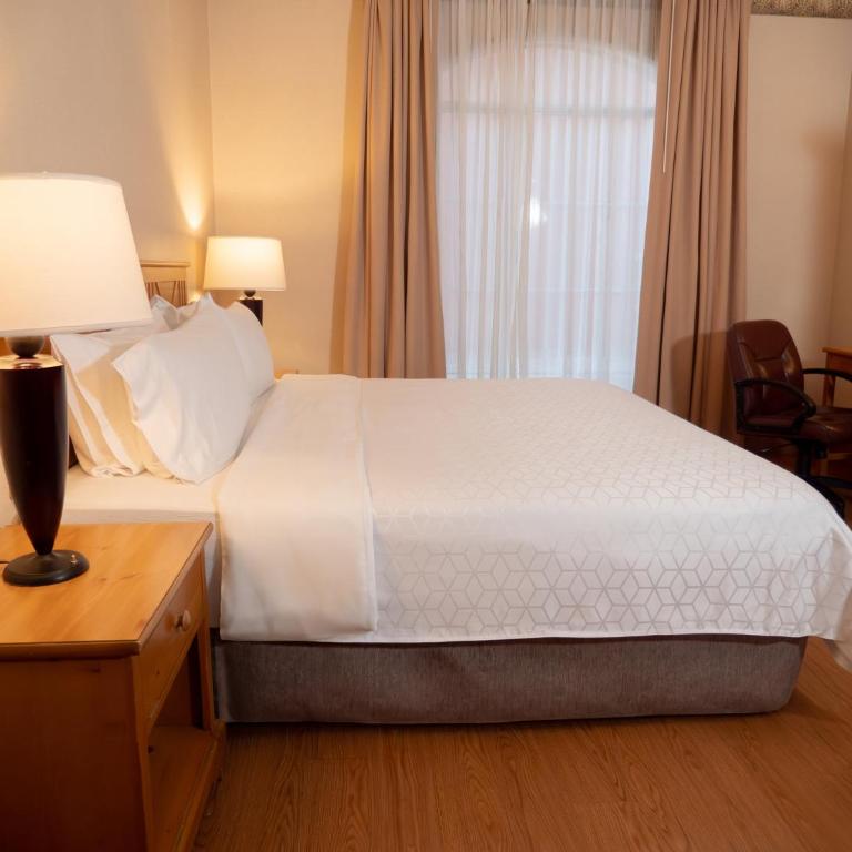Holiday Inn Express Guanajuato by IHG - Habitación Estándar - Cama extragrande - 7