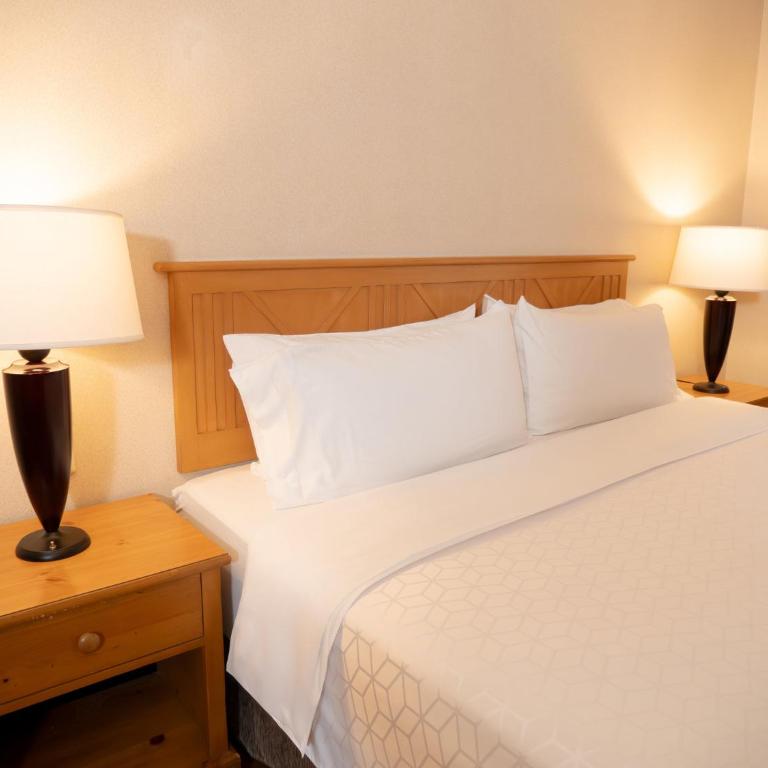 Holiday Inn Express Guanajuato by IHG - Habitación Estándar con cama extragrande - Adaptada para personas de movilidad reducida - 8
