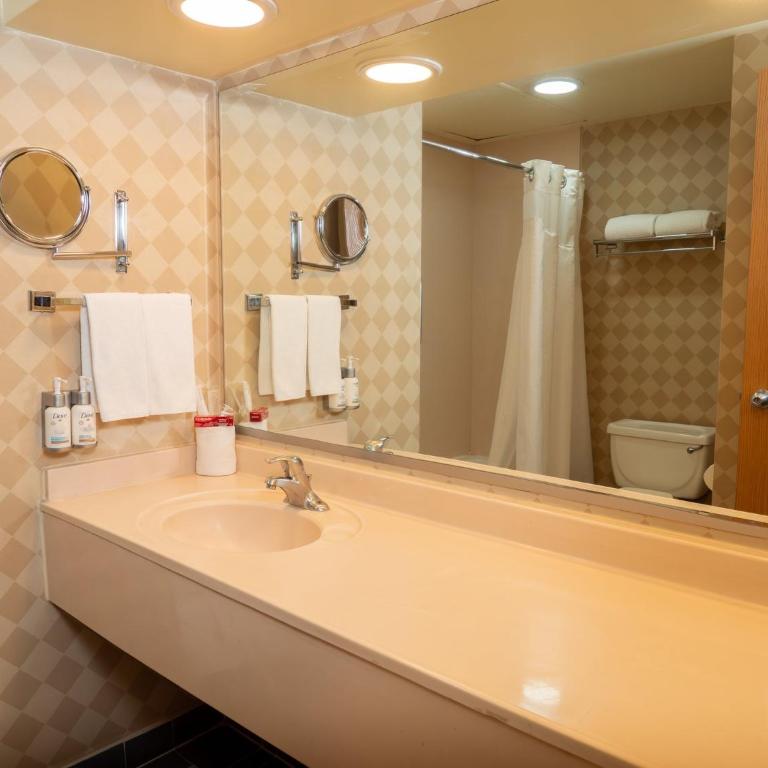 Holiday Inn Express Guanajuato by IHG - Habitación Estándar - 5