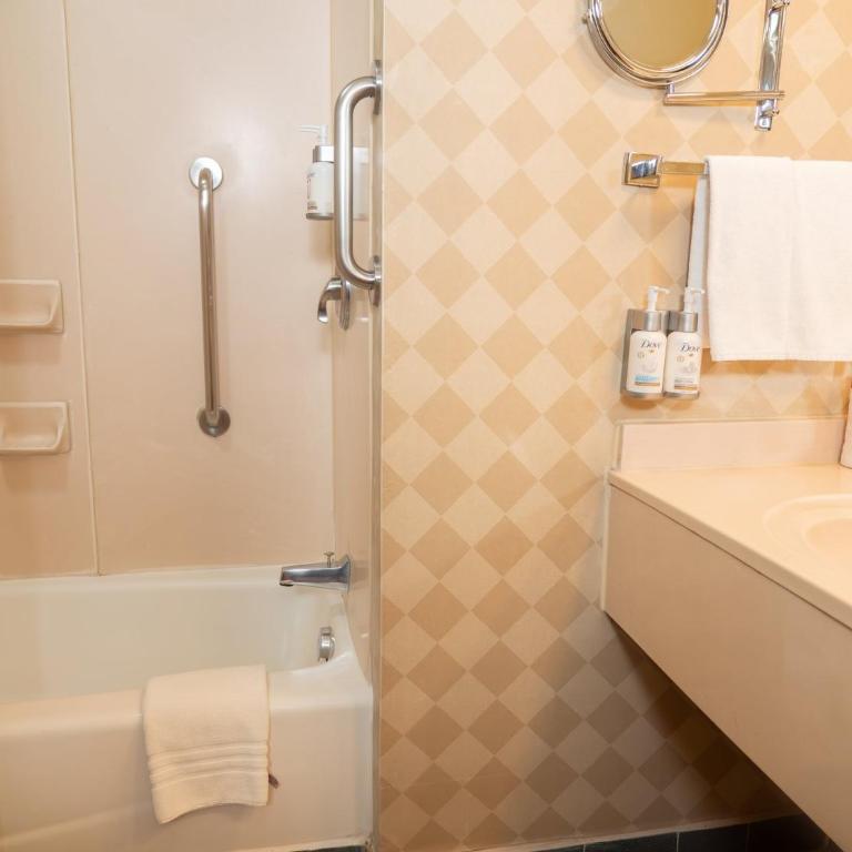 Holiday Inn Express Guanajuato by IHG - Habitación Estándar - 6