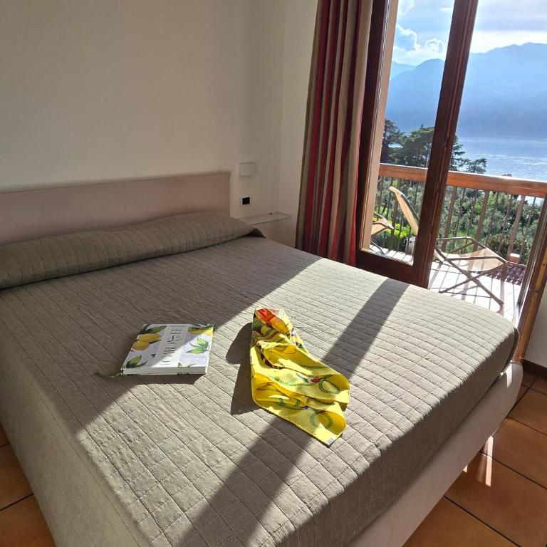 Appartamenti Alin - Appartamento con Vista Lago - 13
