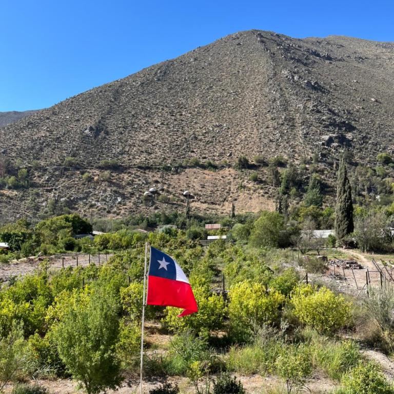 VALLE DEL ELQUI,Diaguitas, Vicuña - Three-Bedroom House - 29