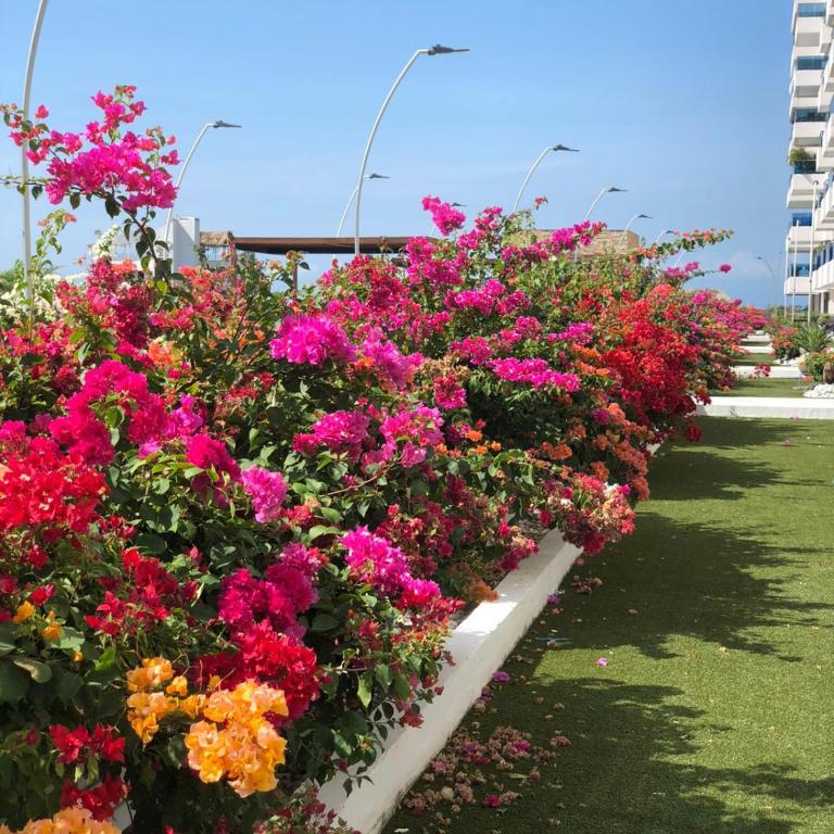Samaria club de playa - Apartamento de 3 dormitorios - 36