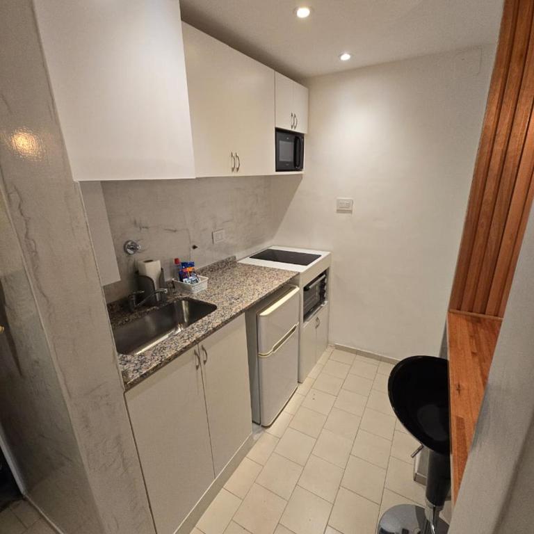 Departamento en Bv San Juan a cuadras del shopping Patio Olmos - Apartamento de 1 dormitorio - 8