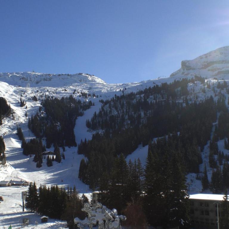 Confortable appartement 3 pièces · Proche des pistes · WIFI · 6 pers - FR-1-425-225 - Appartement - 10