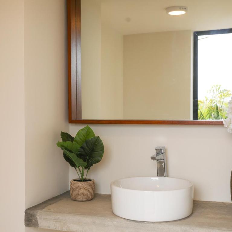 The element baja cal - Apartamento de 1 dormitorio - 1