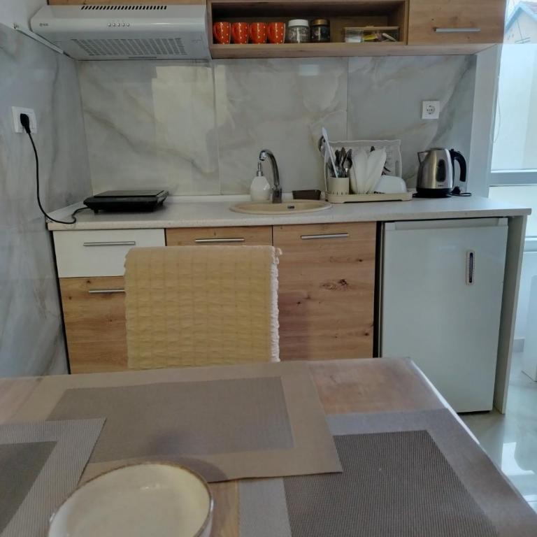 VIGO LUX Studio Vrnjacka banja - Apartman sa 1 Spavaćom Sobom - 58