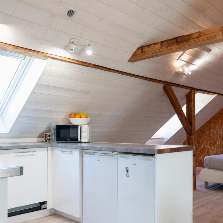Loft lumineux atypique 10 minutes Strasbourg centre - Two-Bedroom Apartment - 2