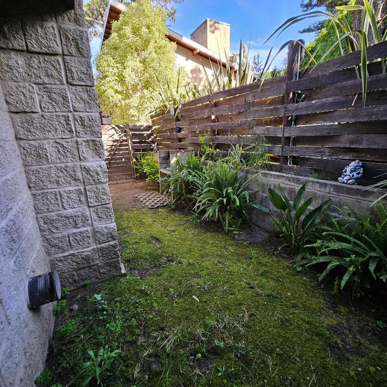 Gorriones Libres - One-Bedroom Apartment - 6