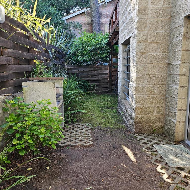 Gorriones Libres - One-Bedroom Apartment - 8