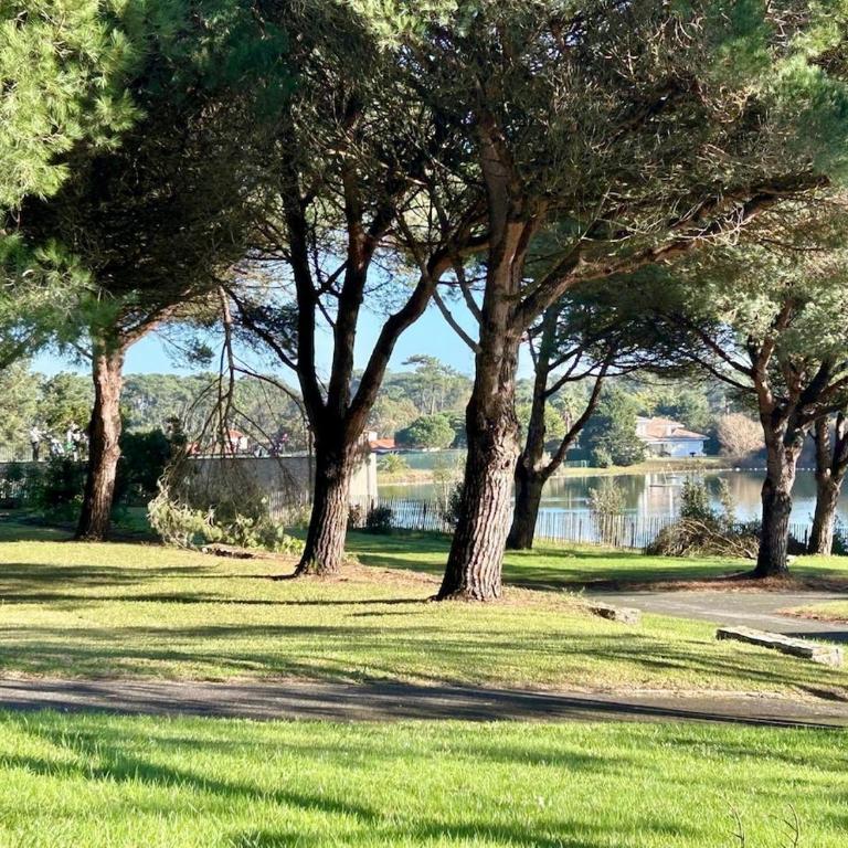 Sea & Golf, Pool and Zen Apartment in Chiberta - One-Bedroom Apartment - 11