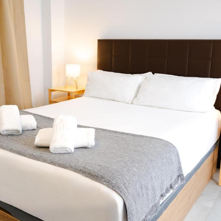 Novam Loft Terrace Guest Homes Malaga - Apartamento de 1 dormitorio - 1