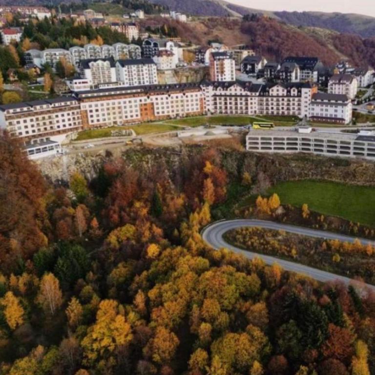 N-LUX 66 MILMARI kopaonik - One-Bedroom Apartment - 10
