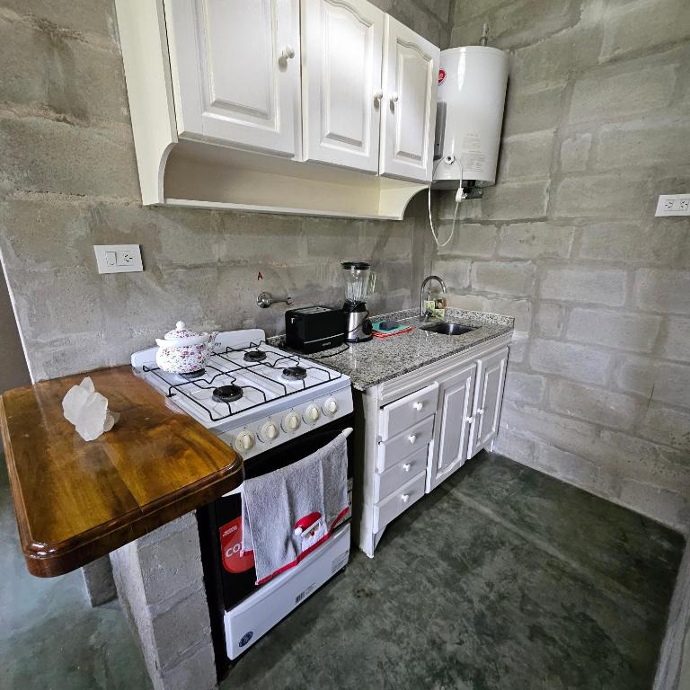 Gorriones Libres - One-Bedroom Apartment - 4
