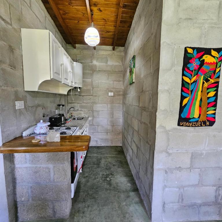 Gorriones Libres - One-Bedroom Apartment - 5