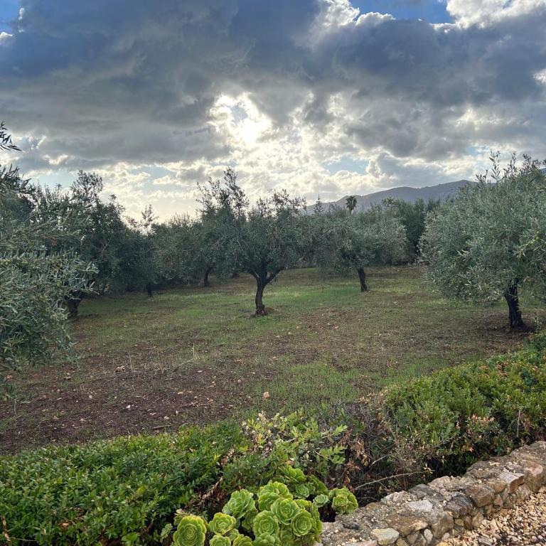 A Casuzza di Poggio Scopello - Villa con 2 Camere da Letto - 7