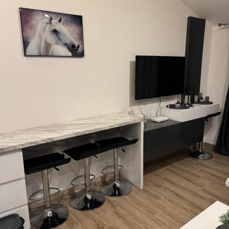 Residence Hill Kopaonik - Apartman sa 1 Spavaćom Sobom - 5