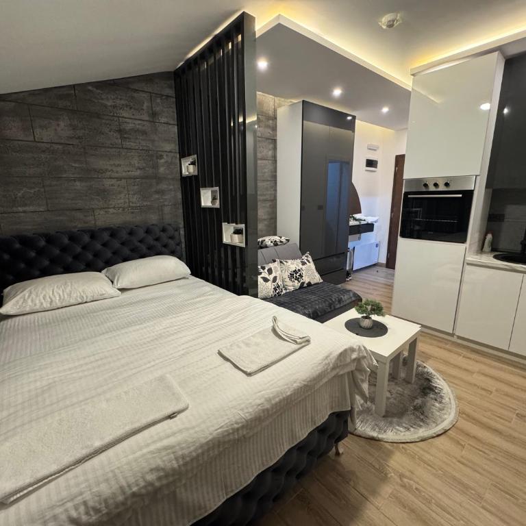 Residence Hill Kopaonik - Apartman sa 1 Spavaćom Sobom - 8